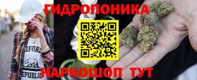 мяу мяу мука Пушкино