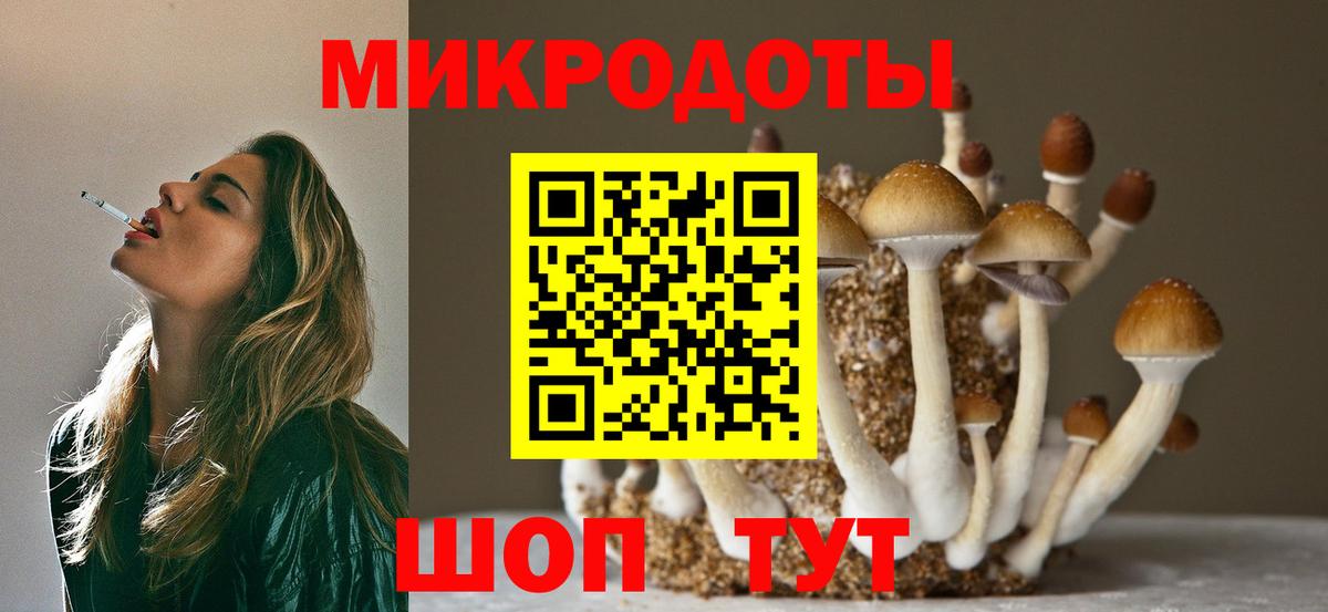 Псилоцибиновые грибы мицелий Рязань