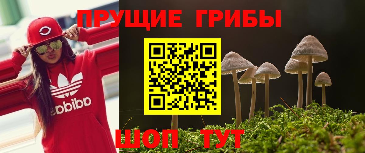 Галлюциногенные грибы Psilocybe  Галлюциногенные грибы Psilocybine cubensis  Вход с VPN  Рязань 
